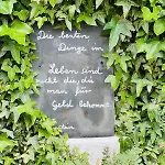 Der Konikhof, Natur, Ruhe, R-auszeit