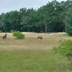 Der Konikhof, Natur, Ruhe, R-auszeit *