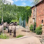 Apartment Der Konikhof, Natur, Ruhe, R-auszeit