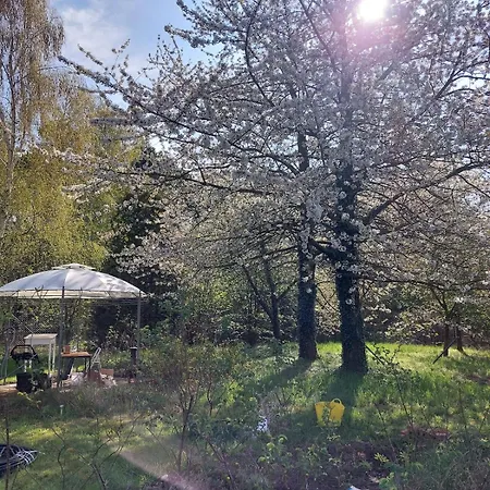 Der Konikhof, Natur, Ruhe, R-auszeit Apartment
