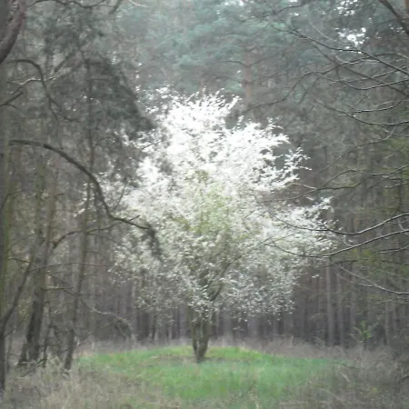 Der Konikhof, Natur, Ruhe, R-auszeit Apartment *