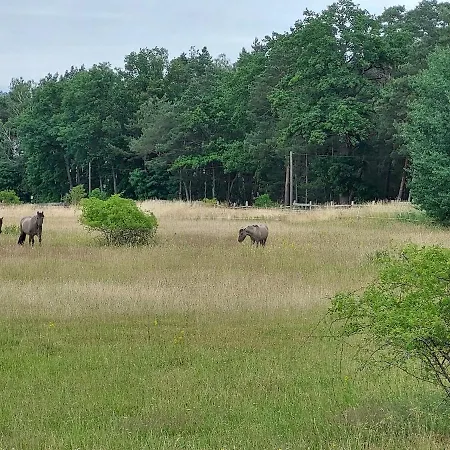 Der Konikhof, Natur, Ruhe, R-auszeit *