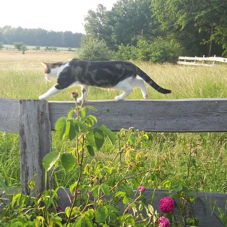 Der Konikhof, Natur, Ruhe, R-auszeit * Baben