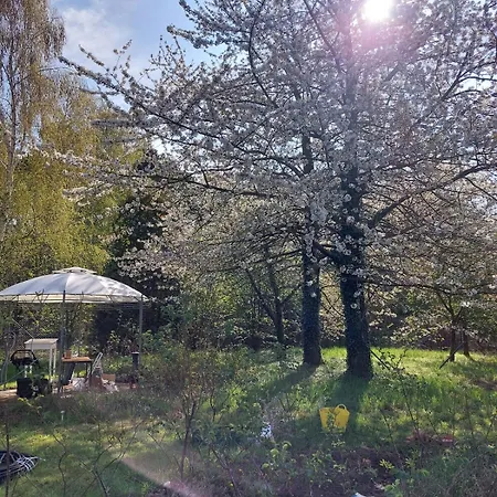 Der Konikhof, Natur, Ruhe, R-auszeit Apartment